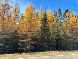 Route du Petit-Moulin  Saint-Bruno-De-Kamouraska, QC G0L 2M0