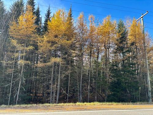 Terre/Terrain - Route Du Petit-Moulin, Saint-Bruno-De-Kamouraska, QC 