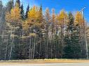 Terre/Terrain - Route Du Petit-Moulin, Saint-Bruno-De-Kamouraska, QC 