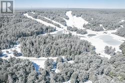 Ski, snowboard & cross country ski - 