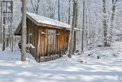 In backyard, chicken coop, or storage shed - 