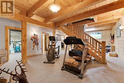 Lower level gym area - 