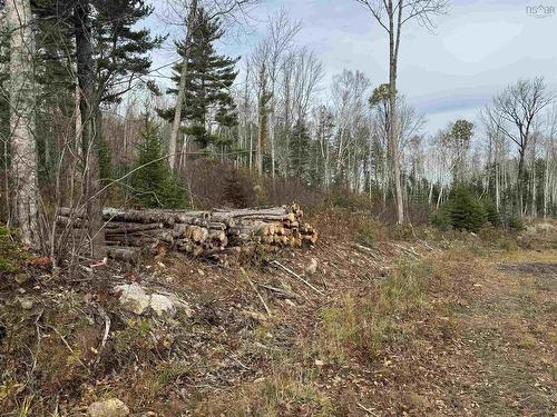 Feener Road, Farmington, NS 