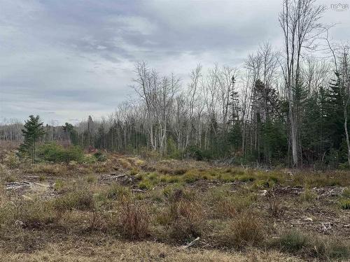Feener Road, Farmington, NS 