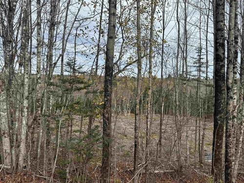 Feener Road, Farmington, NS 