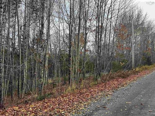 Feener Road, Farmington, NS 