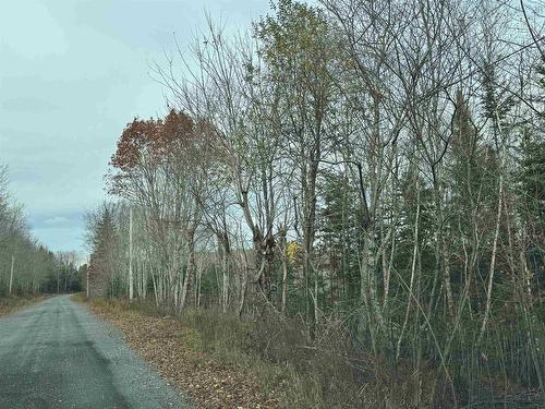 Feener Road, Farmington, NS 