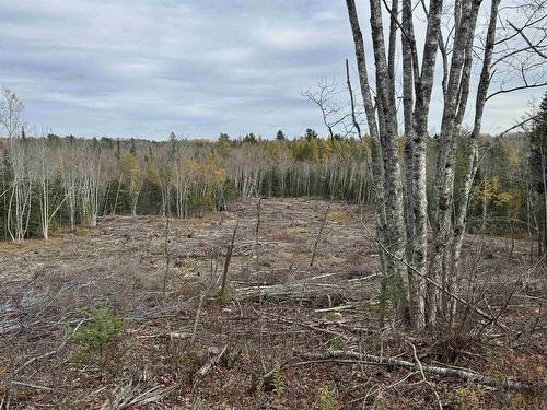 Feener Road, Farmington, NS 