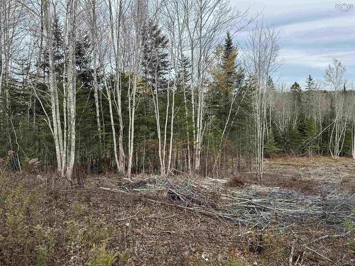 Feener Road, Farmington, NS 