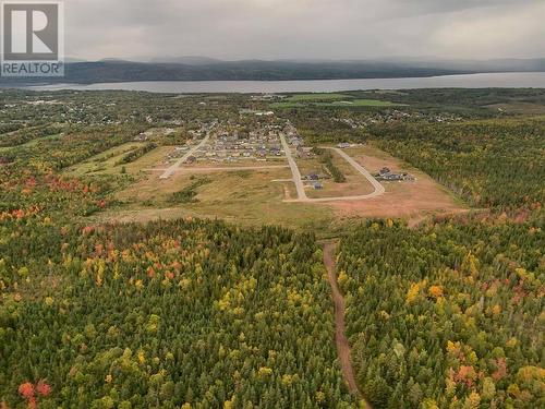 45 Harvey Wight Crescent, Pasadena, NL 