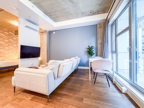 Overall view - 102-1205 Rue St-Dominique, Montréal (Ville-Marie), QC - Indoor