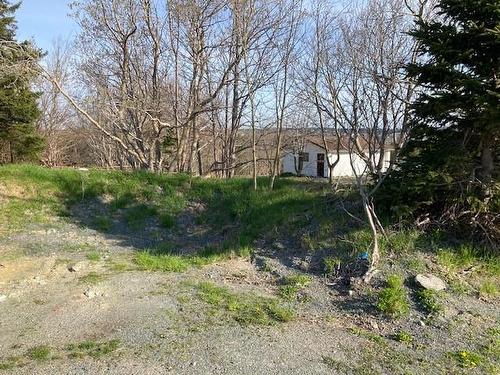 104 North Pond Road, Torbay, NL 