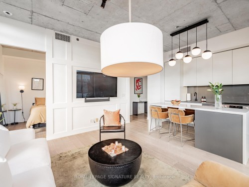 514-8 Gladstone Avenue, Toronto, ON - Indoor Photo Showing Living Room
