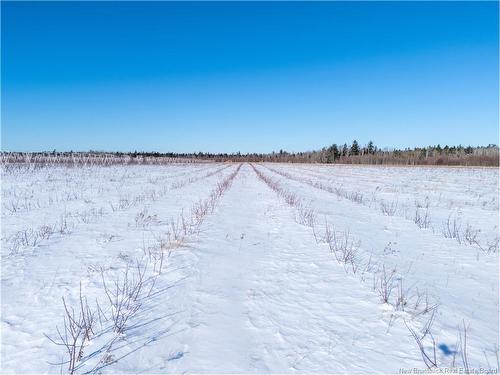 Lot Ch Perry, Sainte-Anne-De-Kent, NB 
