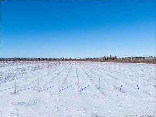 Lot Ch Perry, Sainte-Anne-De-Kent, NB 