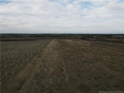 Lot Ch Perry, Sainte-Anne-De-Kent, NB 