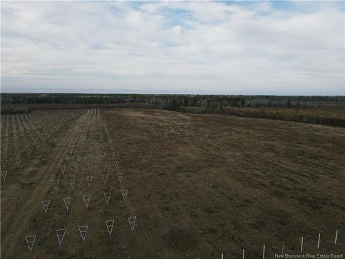 Lot Ch Perry, Sainte-Anne-De-Kent, NB 