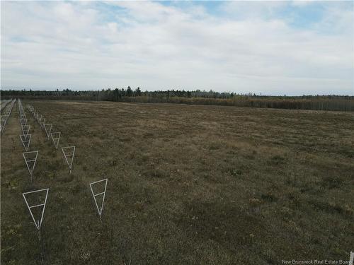 Lot Ch Perry, Sainte-Anne-De-Kent, NB 