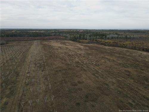 Lot Ch Perry, Sainte-Anne-De-Kent, NB 