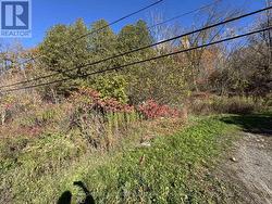 58 MAIN STREET  Marmora And Lake (Marmora Ward), ON K0K 2M0