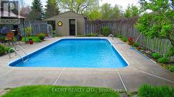 Pool in Summer 2025 - 