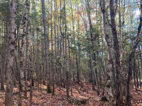 Land/Lot - 5E Rang, Adstock, QC 