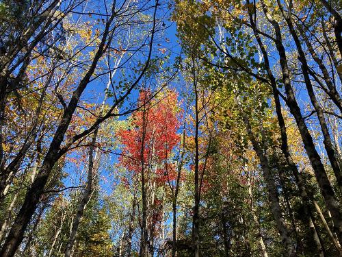 Land/Lot - 5E Rang, Adstock, QC 