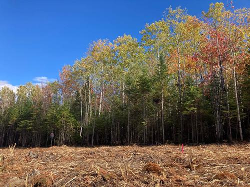 Land/Lot - 5E Rang, Adstock, QC 