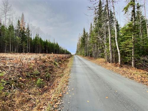 Land/Lot - 5E Rang, Adstock, QC 