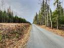Land/Lot - 5E Rang, Adstock, QC 