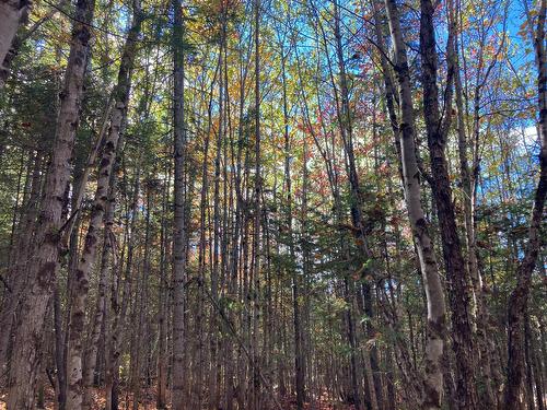 Land/Lot - 5E Rang, Adstock, QC 