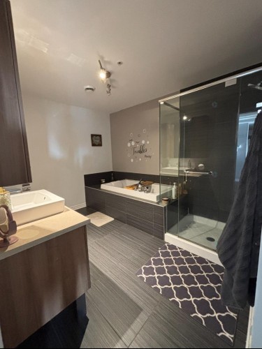 Salle de bains - 305-3745 Av. Jean-Béraud, Laval (Chomedey), QC - Indoor Photo Showing Other Room