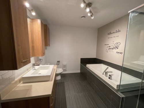 Salle de bains - 305-3745 Av. Jean-Béraud, Laval (Chomedey), QC - Indoor Photo Showing Bathroom