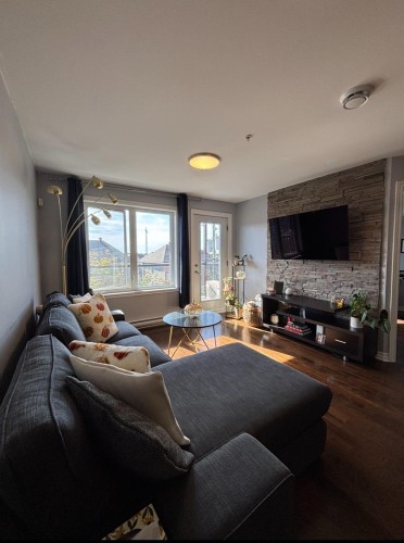 Salon - 305-3745 Av. Jean-Béraud, Laval (Chomedey), QC - Indoor Photo Showing Living Room