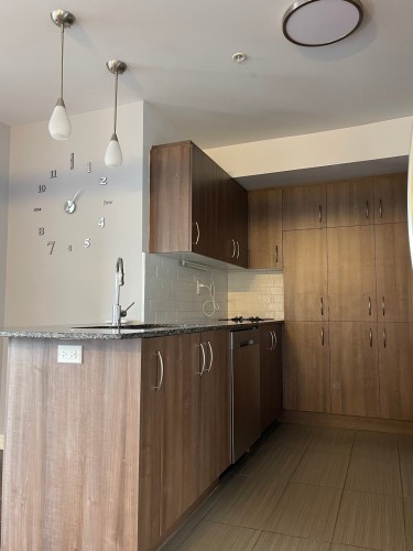 Cuisine - 305-3745 Av. Jean-Béraud, Laval (Chomedey), QC - Indoor Photo Showing Kitchen