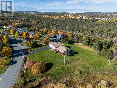 48 Quigley'S Lane, Torbay, NL - Outdoor With View