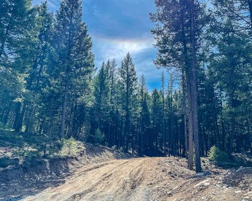 Lot 6 Whispering Pines Drive, Cranbrook, BC - Outdoor With View