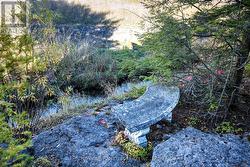 Peaceful view of Stream - 