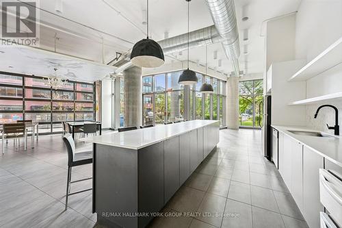 1113 - 150 East Liberty Street, Toronto, ON - Indoor Photo Showing Kitchen With Upgraded Kitchen
