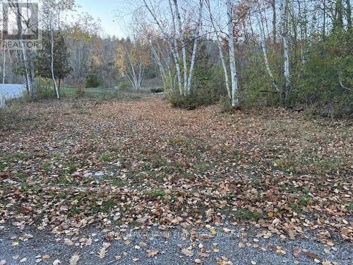 Pt Lt 20 Fire Route 121, Trent Lakes, ON 