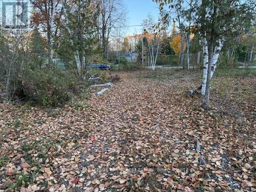 Pt Lt 20 Fire Route 121, Trent Lakes, ON 