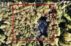 1394 BARTLETT LAKE ROAD  Ryerson, ON P0A 1Y0