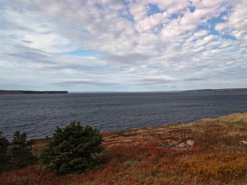 69 Flats Road, Conception Bay South, NL 