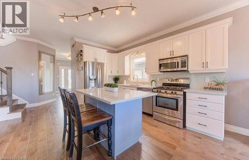 99 Maitland Street, Kitchener, ON - Indoor Photo Showing Kitchen With Stainless Steel Kitchen