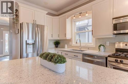99 Maitland Street, Kitchener, ON - Indoor Photo Showing Kitchen With Stainless Steel Kitchen With Double Sink With Upgraded Kitchen