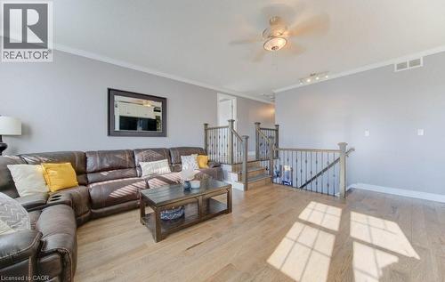 99 Maitland Street, Kitchener, ON - Indoor Photo Showing Living Room