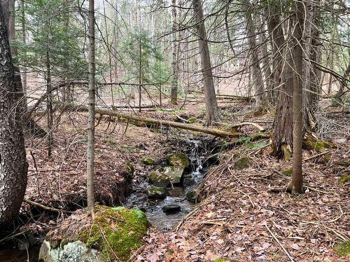 Terre/Terrain - Ch. Rustique, Morin-Heights, QC 