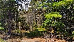 Mount Pleasant Road  West Lahave, NS B0R 1G0