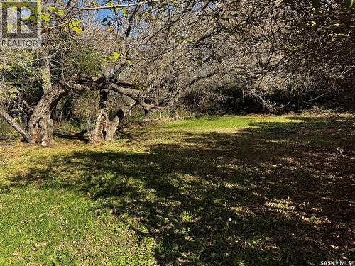 Akister Acreage, Orkney Rm No. 244, SK - Outdoor