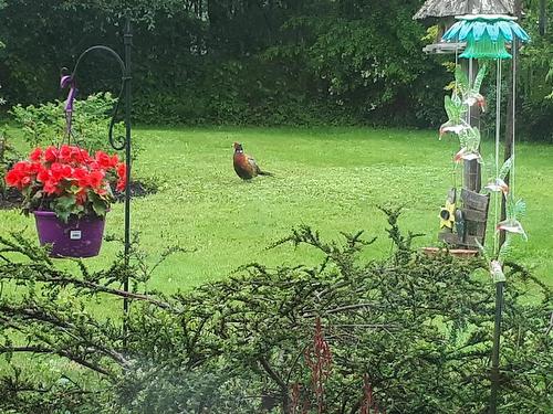 14 Regal Road, Dartmouth, NS 